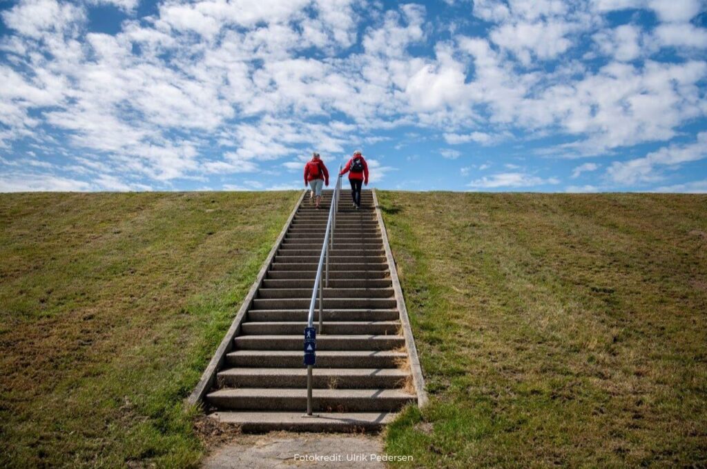 Marskstien - trapper på diget
